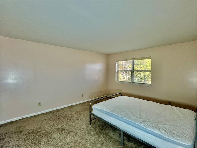 unfurnished bedroom with carpet flooring