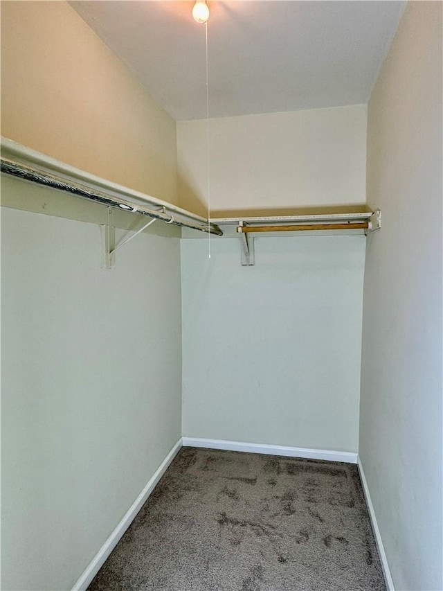 spacious closet with dark carpet