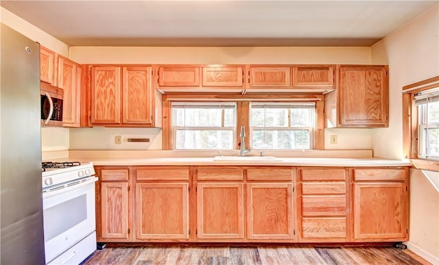 kitchen with light hardwood / wood-style floors, sink, and stainless steel appliances