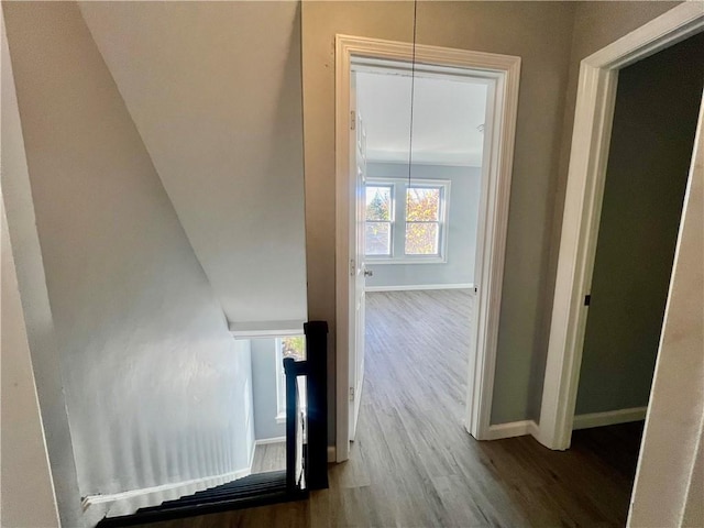 corridor with hardwood / wood-style floors