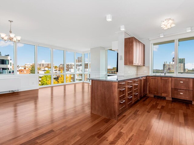 kitchen featuring tasteful backsplash, dark stone countertops, plenty of natural light, and dark wood-type flooring