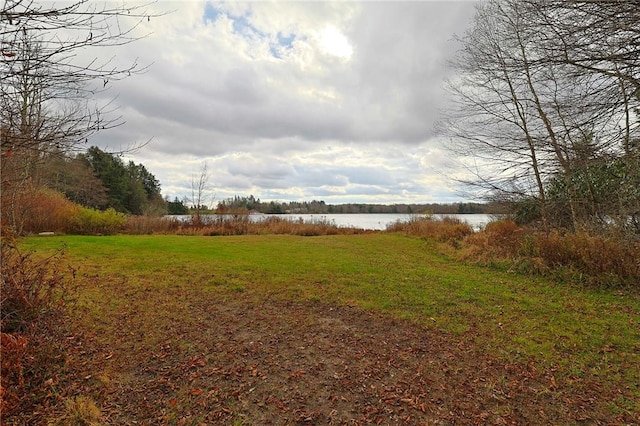 view of yard with a water view