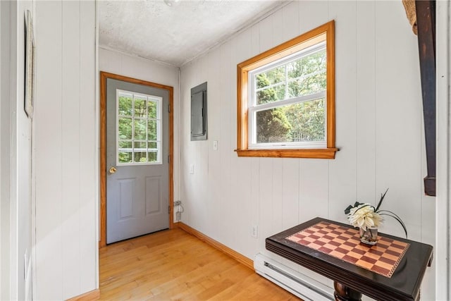 entryway with electric panel, wooden walls, light hardwood / wood-style flooring, and a healthy amount of sunlight