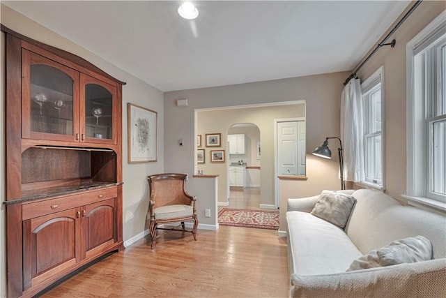 living area with light wood-type flooring