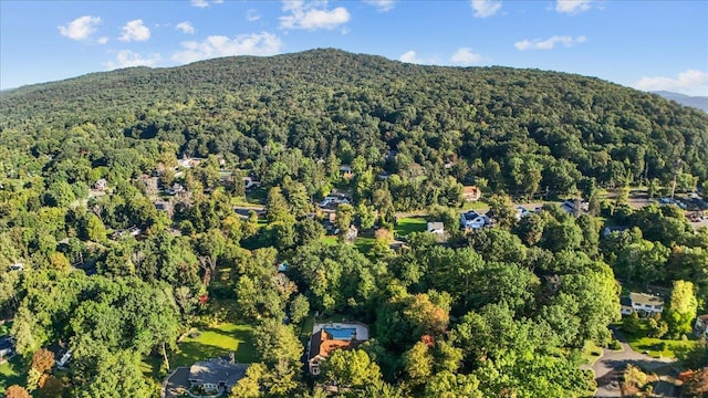 birds eye view of property featuring a mountain view