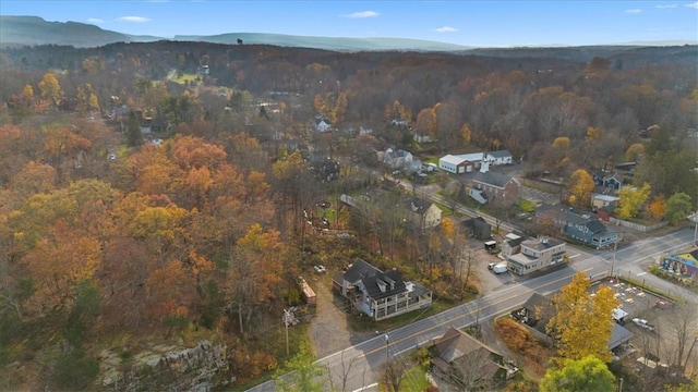 aerial view with a mountain view