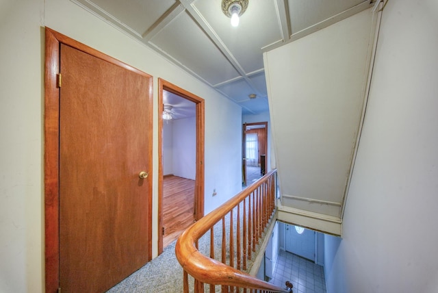 hallway with hardwood / wood-style floors