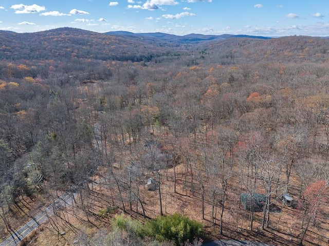 property view of mountains