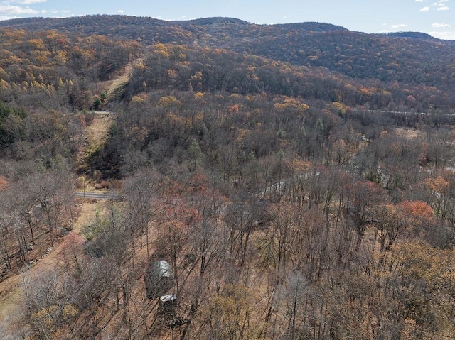 view of mountain feature