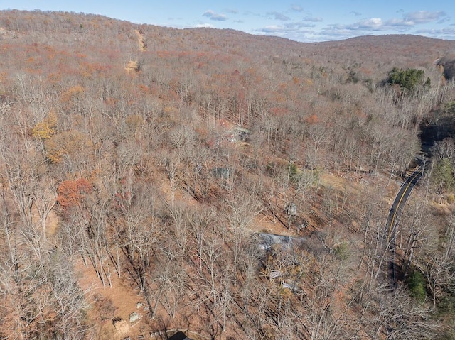 view of mountain feature