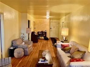 living room with wood-type flooring