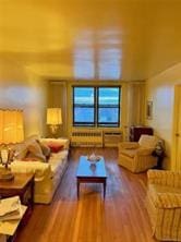 living room featuring dark hardwood / wood-style flooring and radiator heating unit