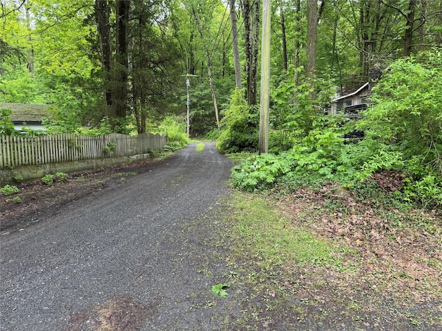 3 Brookside Trl, Monroe, NY 10950 - view of dirt / gravel road with a view of trees