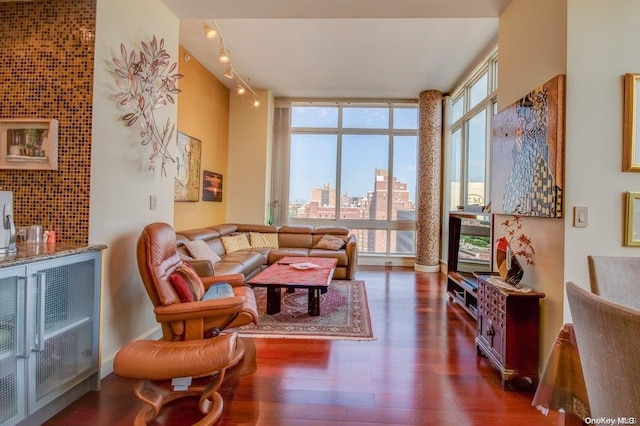 living room with expansive windows and dark wood-type flooring