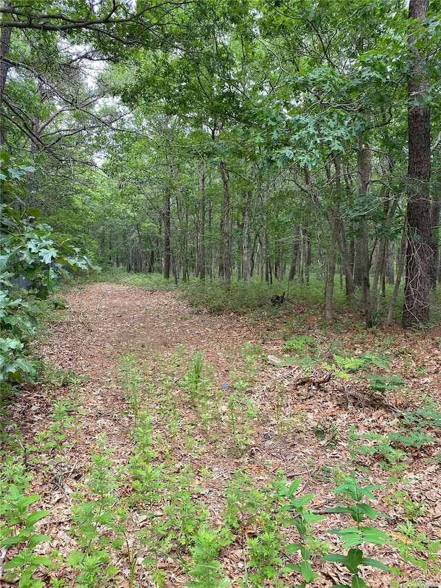 V/L Wading River Rd, Manorville NY, 11949 land for sale