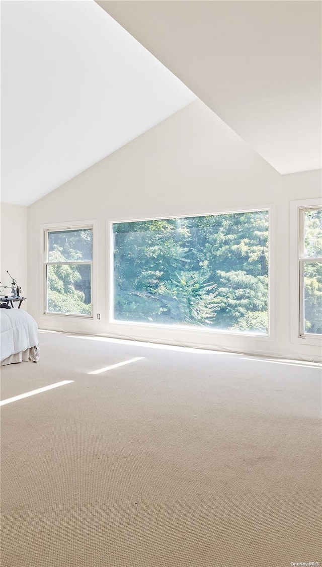 unfurnished bedroom featuring carpet flooring and lofted ceiling