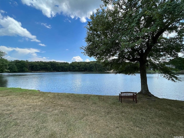 view of water feature