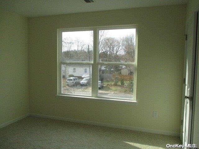 carpeted spare room with a healthy amount of sunlight