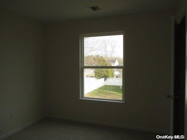 empty room featuring a wealth of natural light