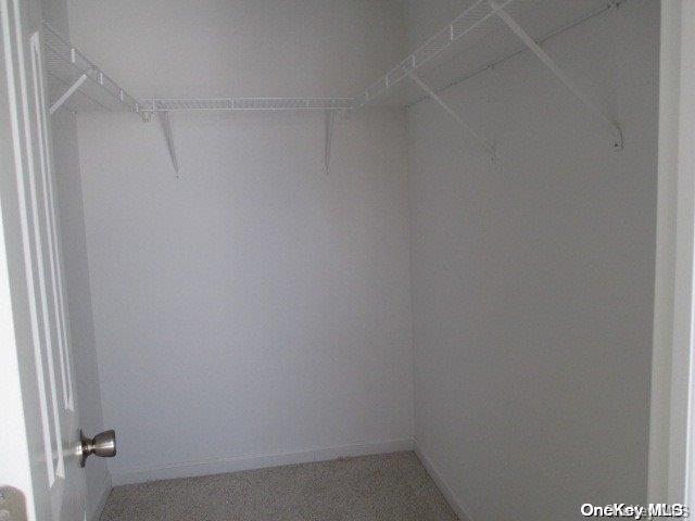 spacious closet featuring carpet floors