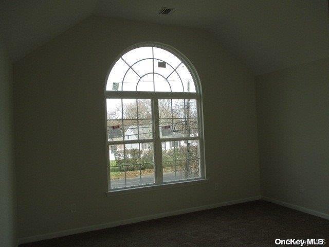 spare room featuring a healthy amount of sunlight and vaulted ceiling