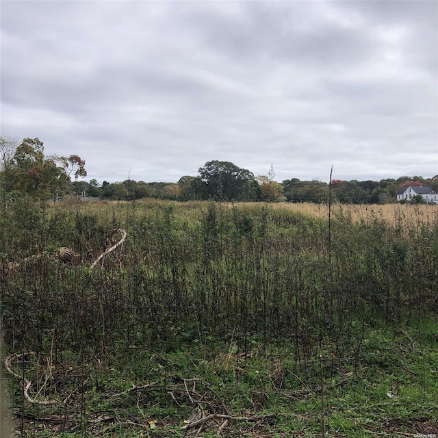 view of local wilderness with a rural view