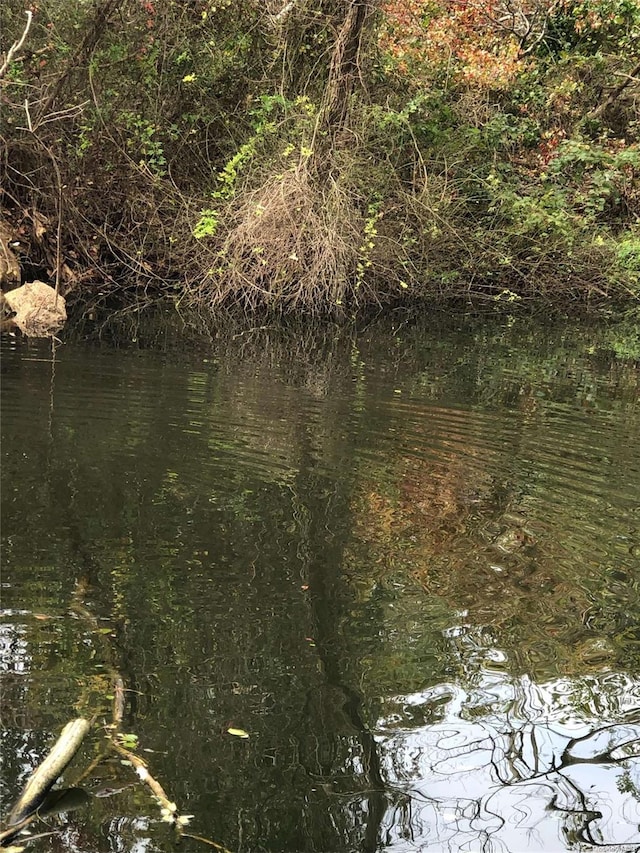 view of water feature