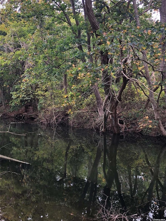 view of landscape with a water view