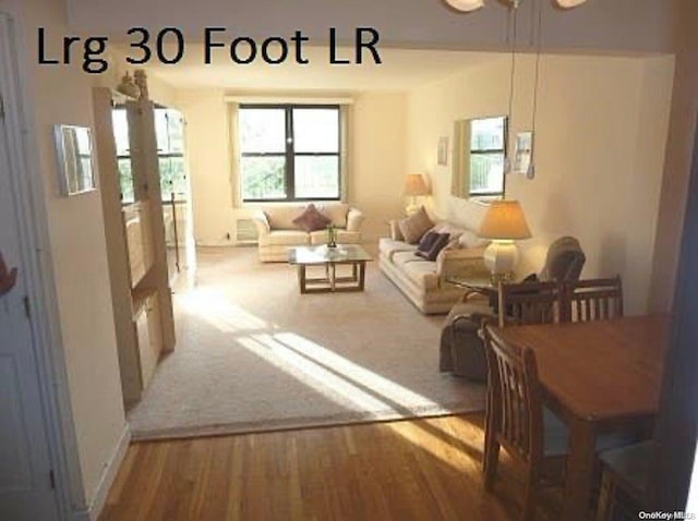 living room featuring wood-type flooring