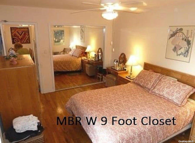 bedroom featuring ceiling fan and wood-type flooring