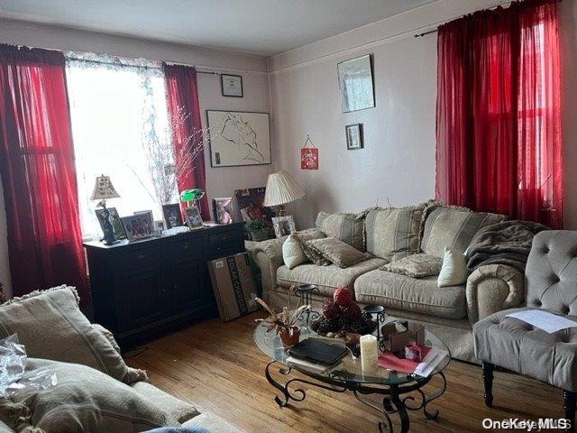 living room featuring light hardwood / wood-style flooring