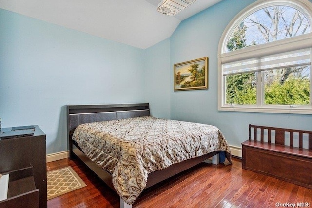 bedroom featuring dark hardwood / wood-style floors, vaulted ceiling, and multiple windows