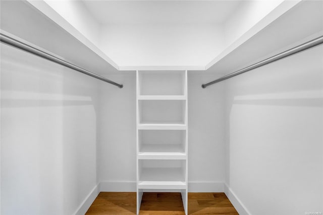 spacious closet with hardwood / wood-style floors