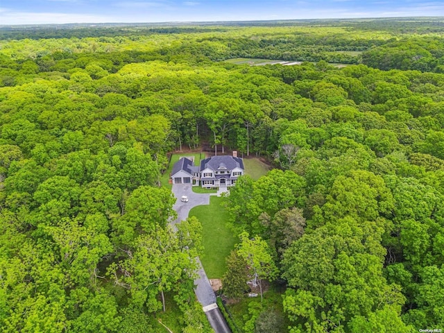293 Beaver Dam Rd, Brookhaven, NY 11719 - bird's eye view of a heavily wooded area