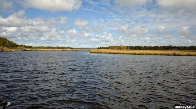 view of water feature