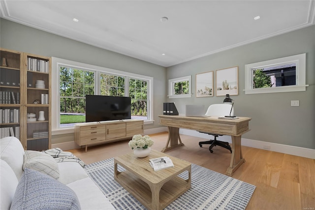 office with crown molding, plenty of natural light, and light hardwood / wood-style floors