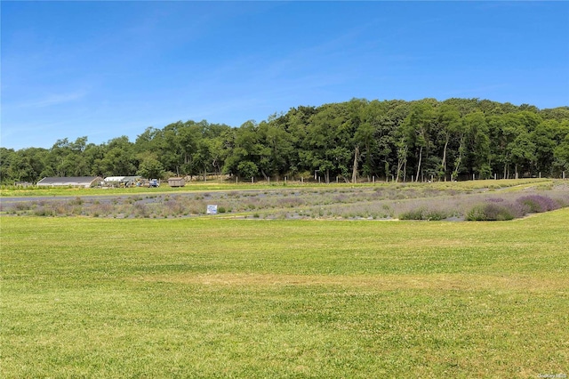 3360 Sound Ave, Riverhead, NY 11901 - photo 4