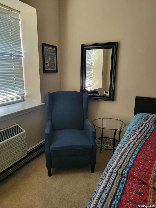 sitting room featuring carpet flooring