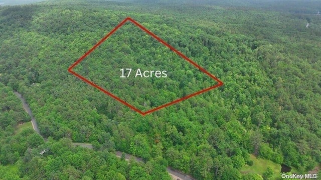 164 Shippee, Shippee NY, 12822 land for sale