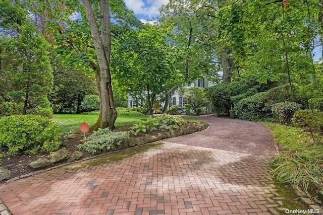 203 Albon Rd, Hewlett Harbor, NY 11557 - surrounding community featuring decorative driveway