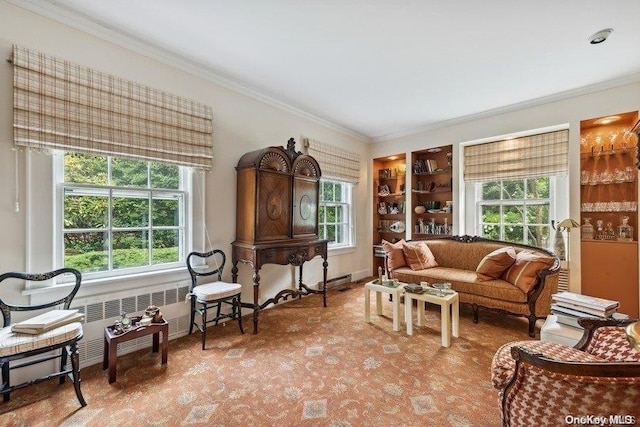 living area with carpet, crown molding, radiator, and a healthy amount of sunlight