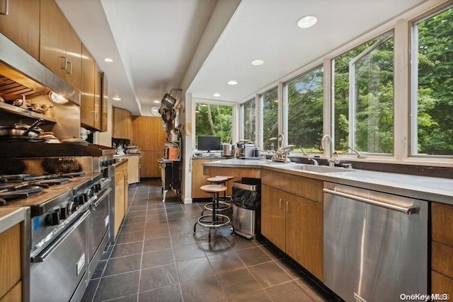 kitchen featuring a wealth of natural light, sink, and appliances with stainless steel finishes