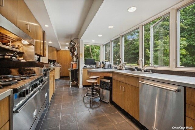 203 Albon Rd, Hewlett Harbor, NY 11557 - kitchen featuring stainless steel appliances, a sink, plenty of natural light, dark tile patterned flooring, and recessed lighting