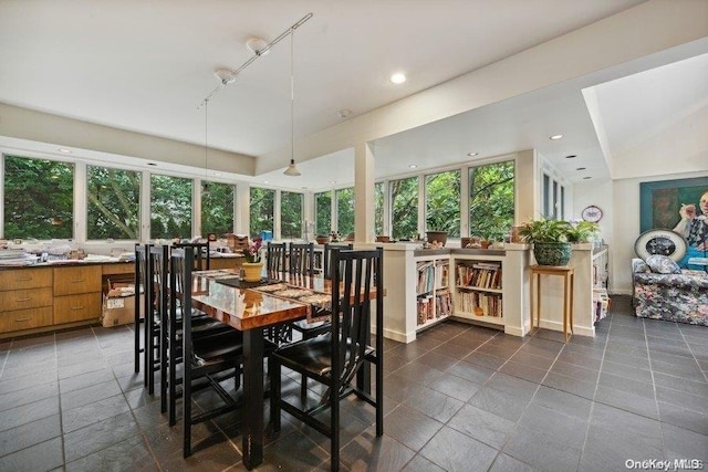 dining area featuring a wealth of natural light and vaulted ceiling