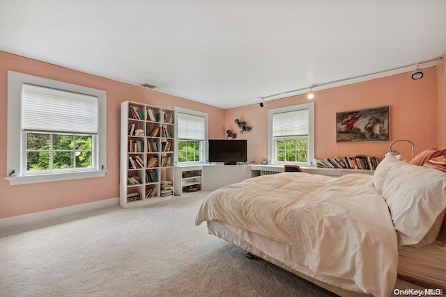 bedroom with carpet and rail lighting