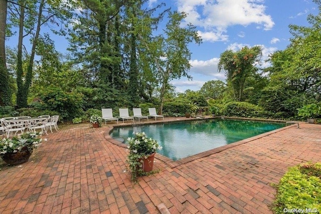 view of swimming pool with a patio