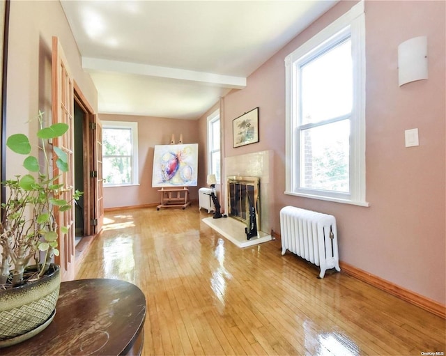 living room with a premium fireplace, wood-type flooring, radiator, and vaulted ceiling