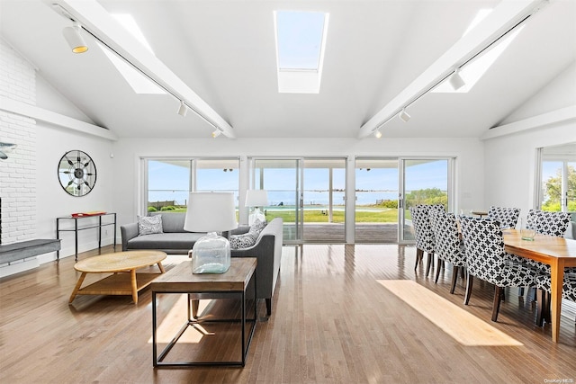 living room featuring a skylight, rail lighting, and light wood-type flooring