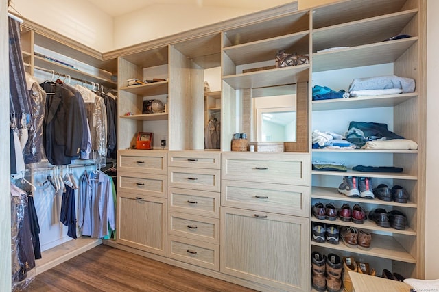 spacious closet featuring dark hardwood / wood-style floors