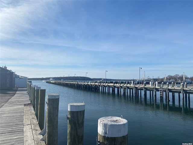 dock area featuring a water view